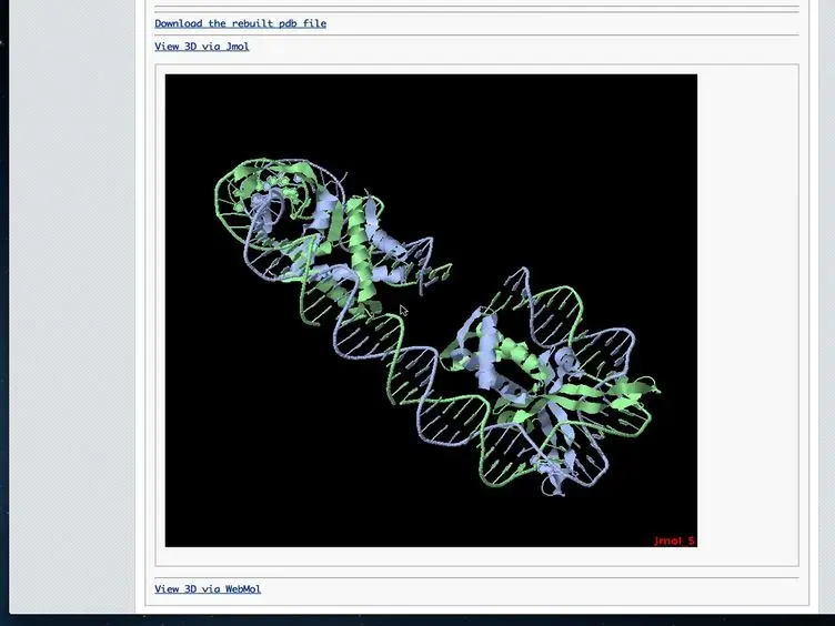 Analyzing and Building Nucleic Acid Structures with 3DNA