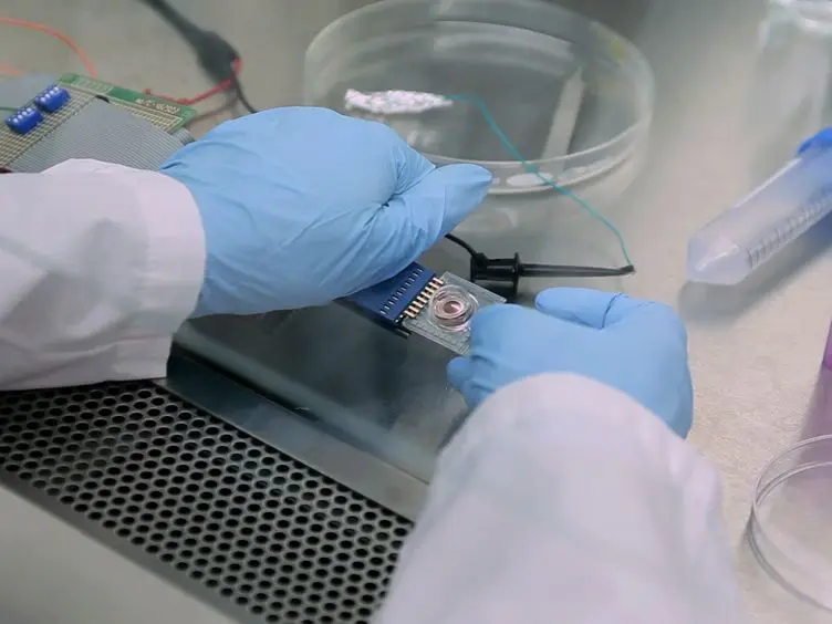 High efficiency, Site-specific Transfection of Adherent Cells with siRNA Using Microelectrode Arrays (MEA)