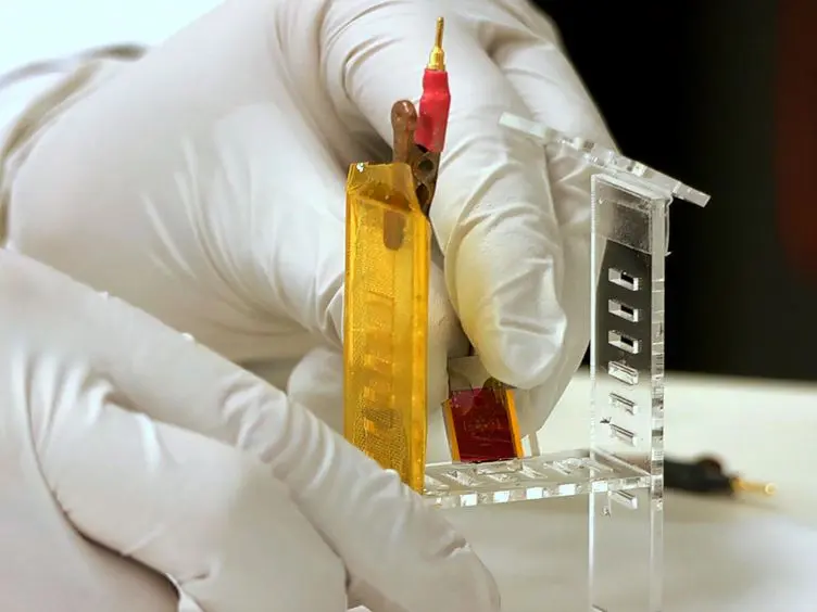 Multi-analyte Biochip (MAB) Based on All-solid-state Ion-selective Electrodes (ASSISE) for Physiological Research