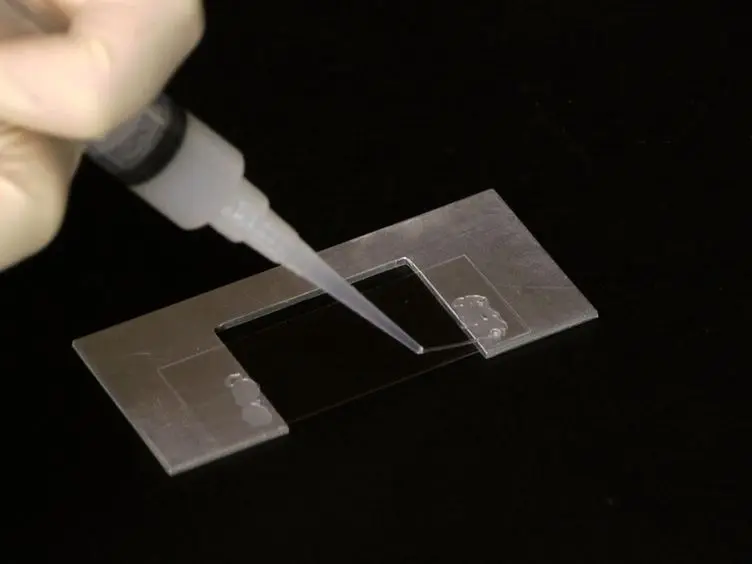 Flexural Rigidity Measurements of Biopolymers Using Gliding Assays