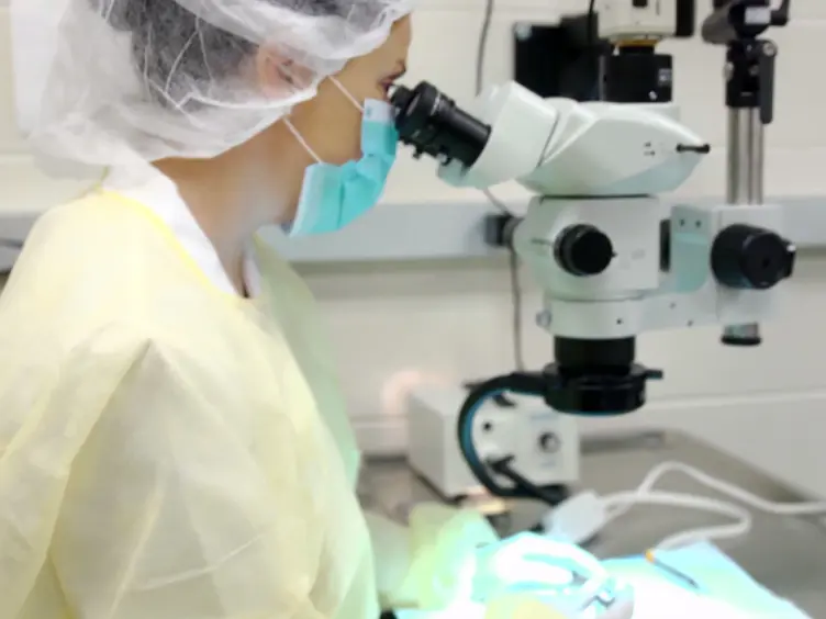 A Novel Vertebral Stabilization Method for Producing  Contusive Spinal Cord Injury