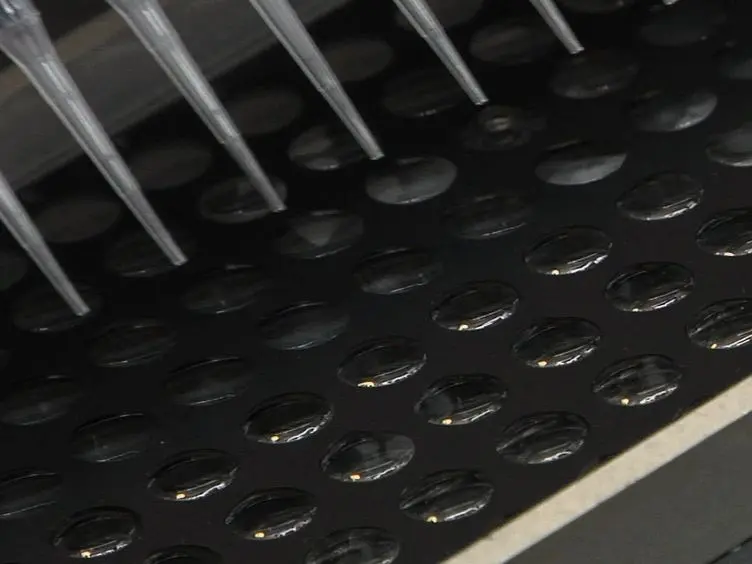Biochemical and High Throughput Microscopic Assessment of Fat Mass in <em>Caenorhabditis Elegans</em>