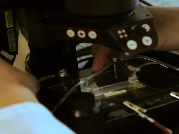 Microfluidic-based Electrotaxis for On-demand Quantitative Analysis of <em>Caenorhabditis elegans</em>' Locomotion