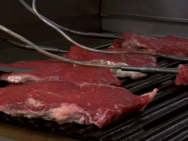 Introducing an Angle Adjustable Cutting Box for Analyzing Slice Shear Force in Meat