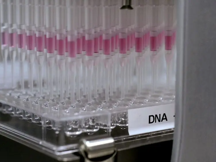 High-throughput Functional Screening using a Homemade Dual-glow Luciferase Assay