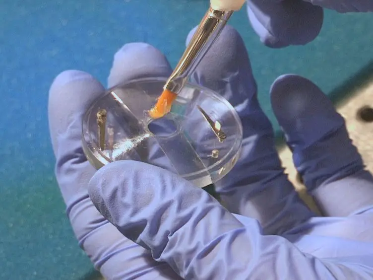 Direct Imaging of ER Calcium with Targeted-Esterase Induced Dye Loading (TED)