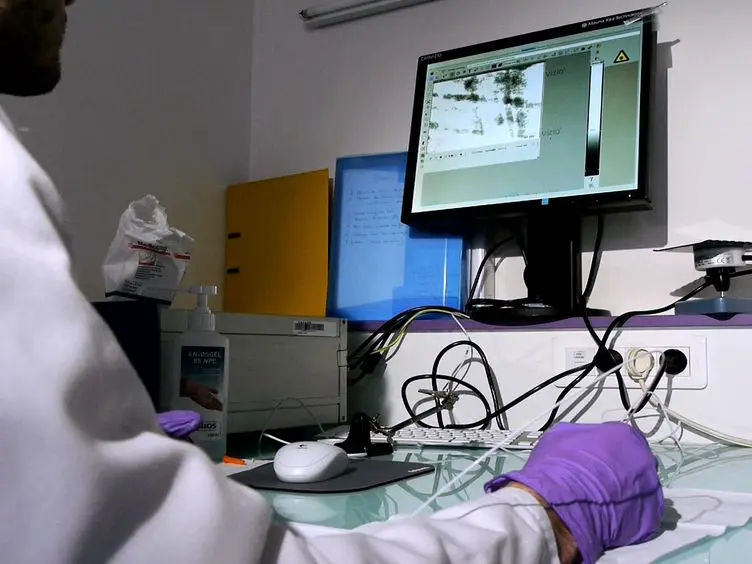 <em>In vivo</em> Imaging of Tumor Angiogenesis using Fluorescence Confocal Videomicroscopy