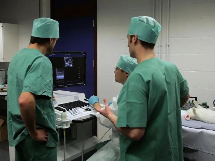 Fetal Echocardiography and Pulsed-wave Doppler Ultrasound in a Rabbit Model of Intrauterine Growth Restriction