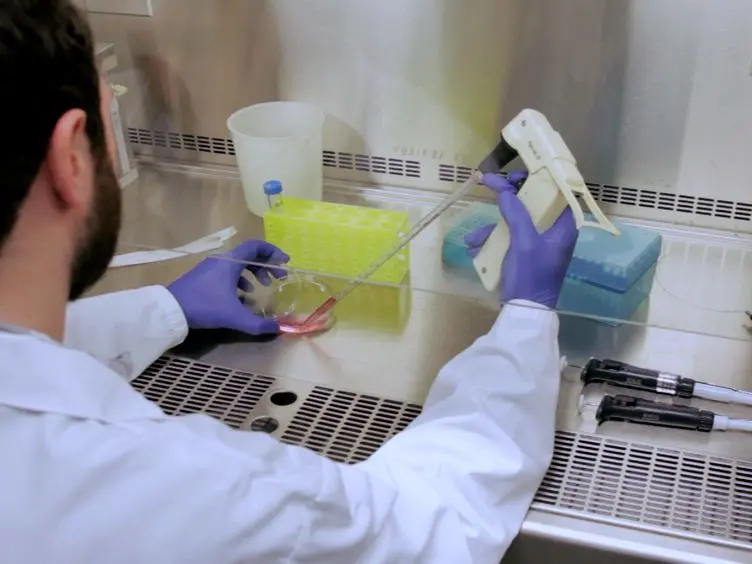 Differentiation of Newborn Mouse Skin Derived Stem Cells into Germ-like Cells <em>In vitro</em>