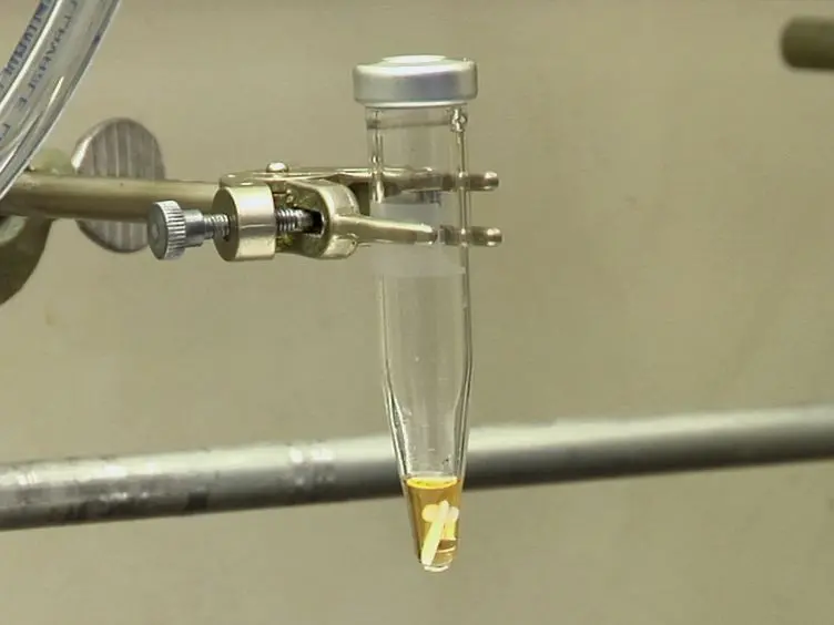 Microwave-assisted Intramolecular Dehydrogenative Diels-Alder Reactions for the Synthesis of Functionalized Naphthalenes/Solvatochromic Dyes