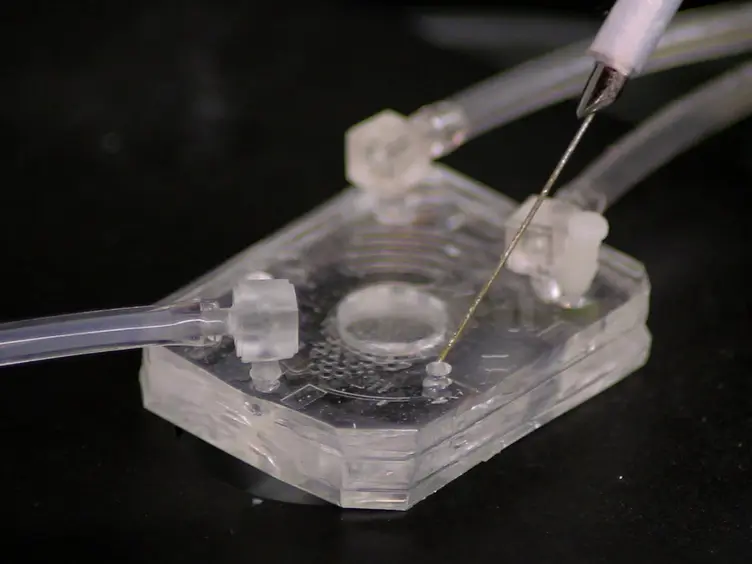 Quantitative and Temporal Control of Oxygen Microenvironment at the Single Islet Level