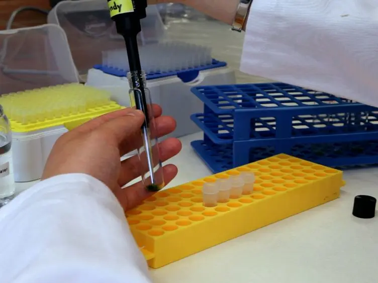 Analysis of Fatty Acid Content and Composition in Microalgae