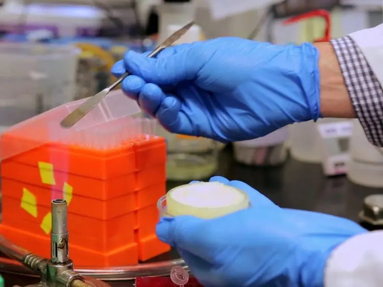 Ratiometric Biosensors that Measure Mitochondrial Redox State and ATP in Living Yeast Cells