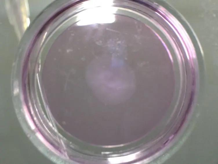 Revealing the Cytoskeletal Organization of Invasive Cancer Cells in 3D
