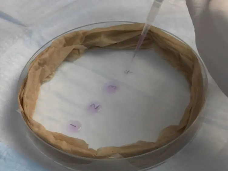 Using Click Chemistry to Measure the Effect of Viral Infection on Host-Cell RNA Synthesis