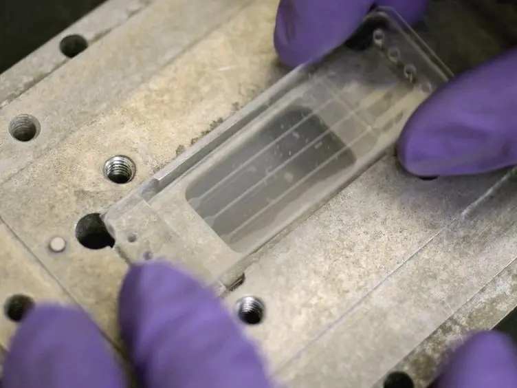 Stress-induced Antibiotic Susceptibility Testing on a Chip