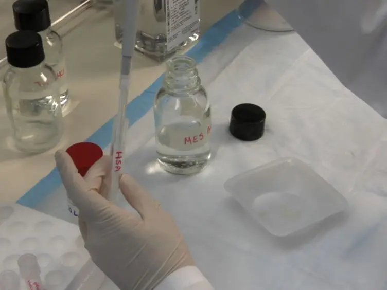 Rapid Generation of Amyloid from Native Proteins <em>In vitro</em>