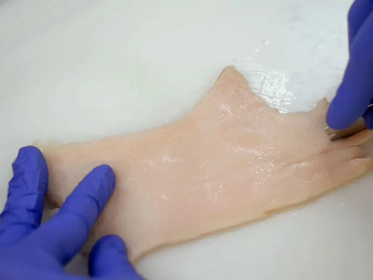 An Improved Method for the Preparation of Type I Collagen From Skin