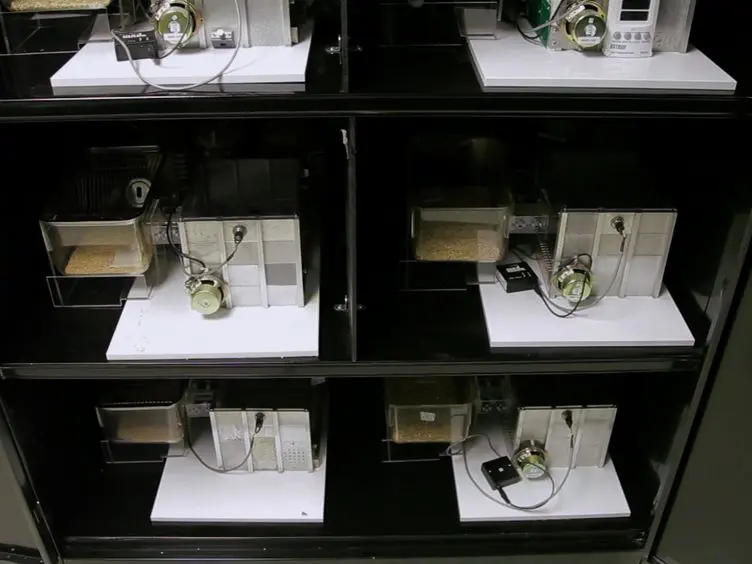 Automated, Quantitative Cognitive/Behavioral Screening of Mice: For Genetics, Pharmacology, Animal Cognition and Undergraduate Instruction