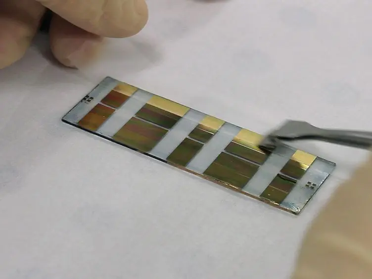 Sensing of Barrier Tissue Disruption with an Organic Electrochemical Transistor