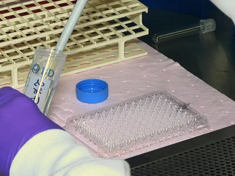 Cell-based Flow Cytometry Assay to Measure Cytotoxic Activity