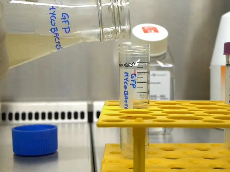 A Microscopic Phenotypic Assay for the Quantification of Intracellular Mycobacteria Adapted for High-throughput/High-content Screening