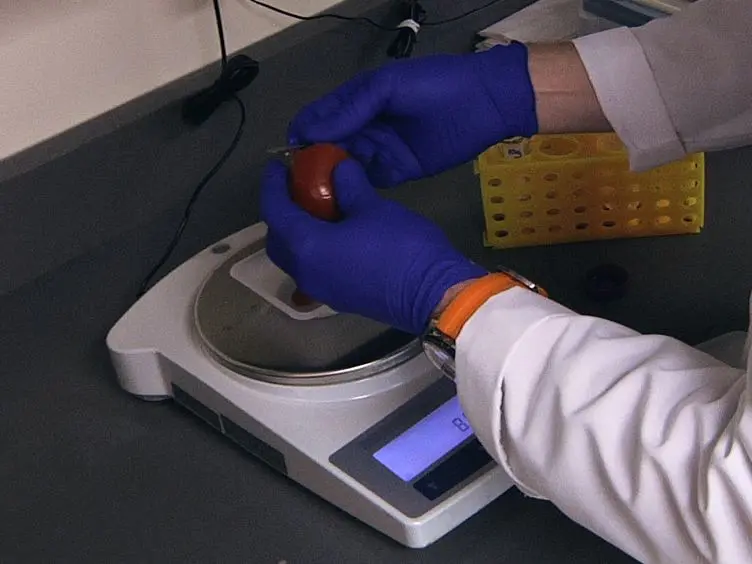 Isolation and Quantification of Botulinum Neurotoxin From Complex Matrices Using the BoTest Matrix Assays