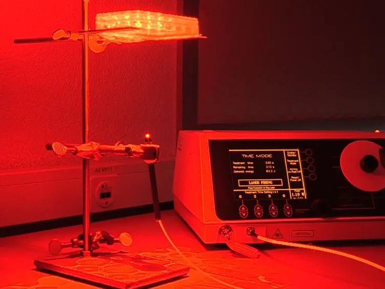 Cytotoxic Efficacy of Photodynamic Therapy in Osteosarcoma Cells <em>In Vitro</em>