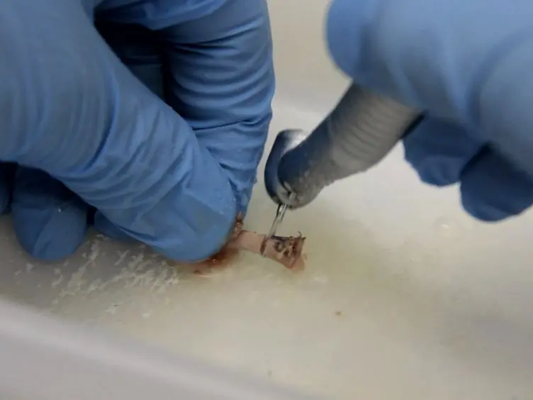 An Improved Mechanical Testing Method to Assess Bone-implant Anchorage