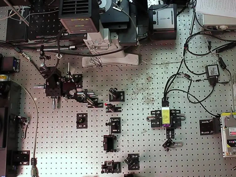 Imaging Plasma Membrane Deformations With pTIRFM