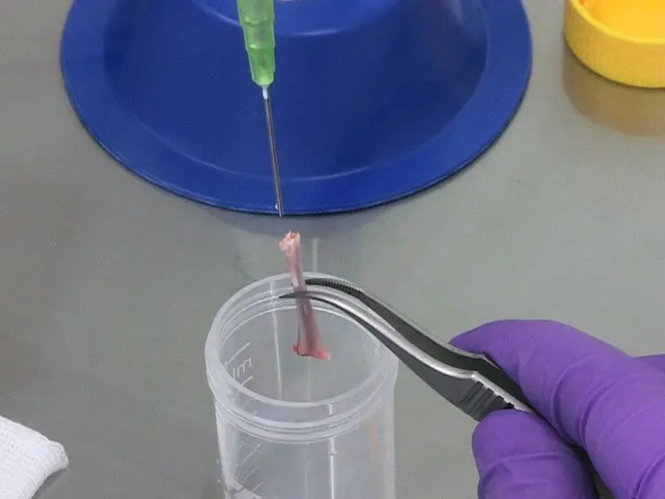 Cell-based Therapy for Heart Failure in Rat: Double Thoracotomy for Myocardial Infarction and Epicardial Implantation of Cells and Biomatrix