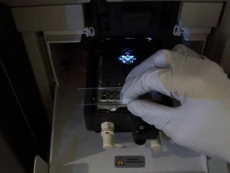 BEST: Barcode Enabled Sequencing of Tetrads