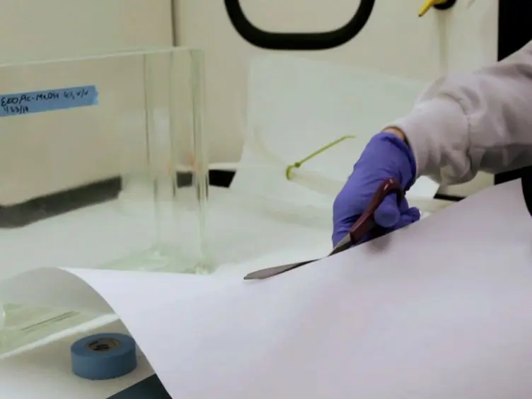 Thin-layer Chromatographic (TLC) Separations and Bioassays of Plant Extracts to Identify Antimicrobial Compounds