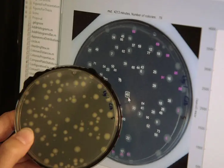 ScanLag: High-throughput Quantification of Colony Growth and Lag Time