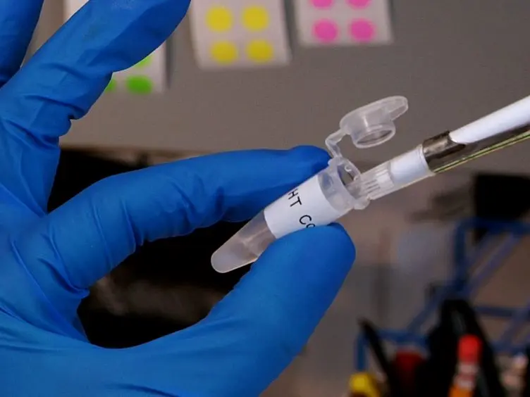 Discovering Protein Interactions and Characterizing Protein Function Using HaloTag Technology