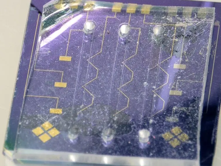 A Microfluidic-based Electrochemical Biochip for Label-free DNA Hybridization Analysis