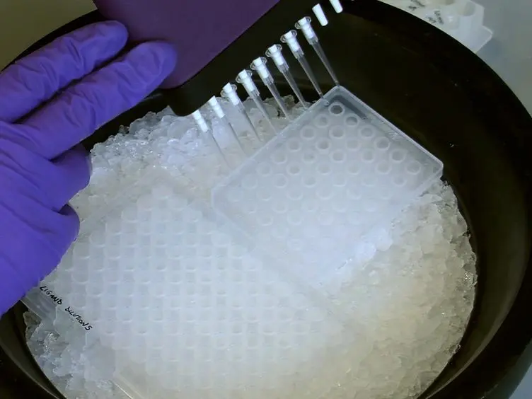 Determination of Protein-ligand Interactions Using Differential Scanning Fluorimetry
