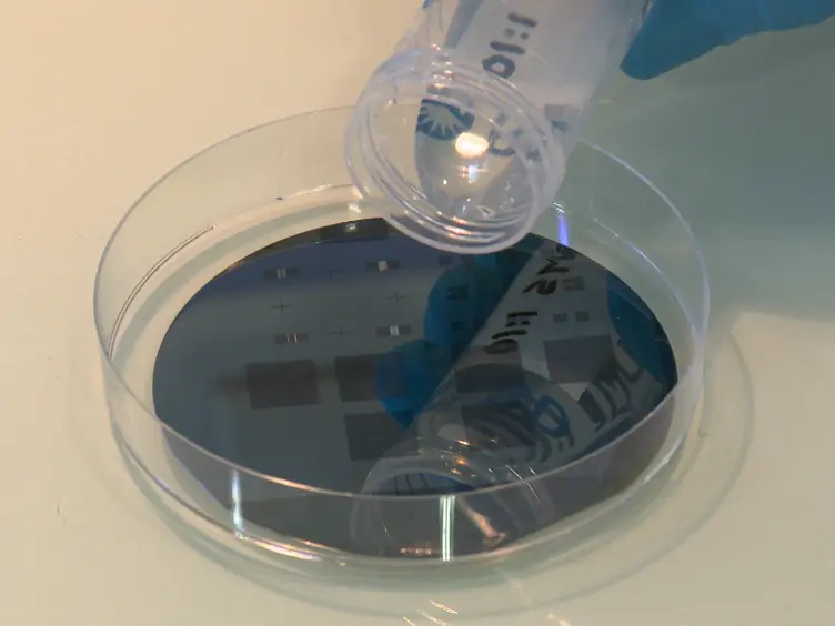 Ordering Single Cells and Single Embryos in 3D Confinement: A New Device for High Content Screening