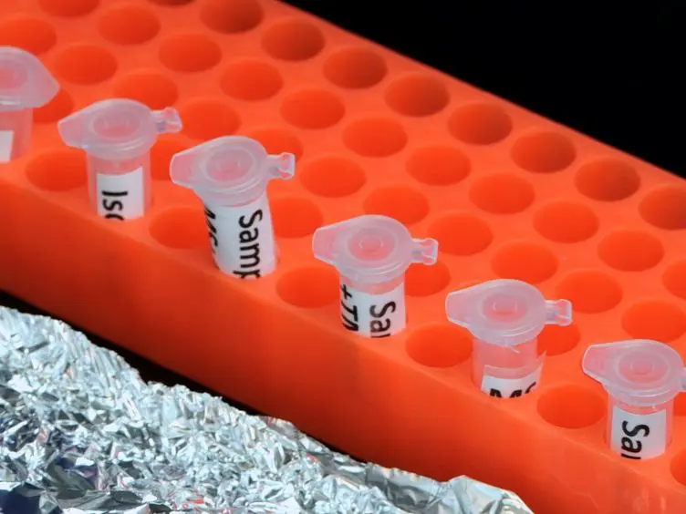 Immunodetection of Outer Membrane Proteins by Flow Cytometry of Isolated Mitochondria