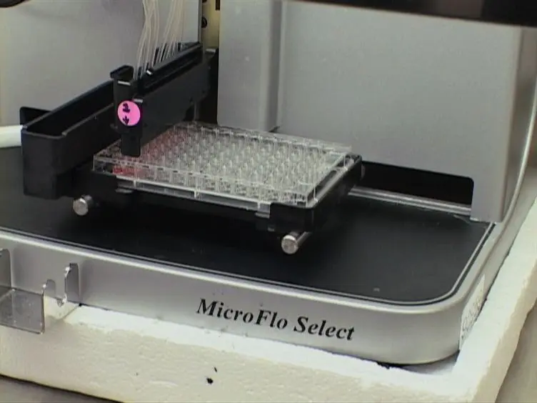 High-throughput Titration of Luciferase-expressing Recombinant Viruses