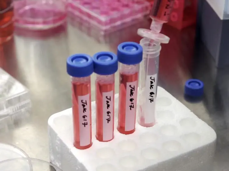 A Method for Screening and Validation of Resistant Mutations Against Kinase Inhibitors