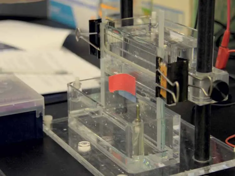 Highly Efficient Ligation of Small RNA Molecules for MicroRNA Quantitation by High-Throughput Sequencing