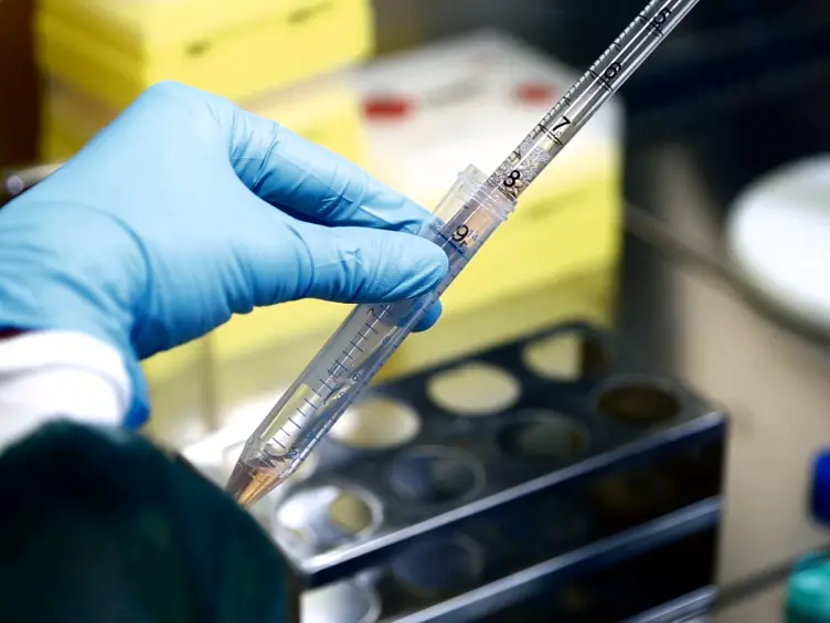 Neural Stem Cell Transplantation in Experimental Contusive Model of Spinal Cord Injury