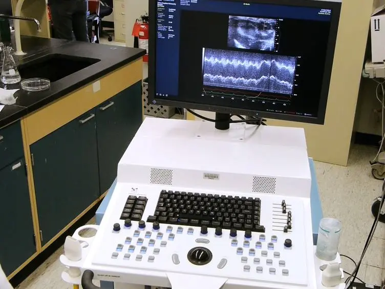 Measuring Ascending Aortic Stiffness <em>In Vivo</em> in Mice Using Ultrasound