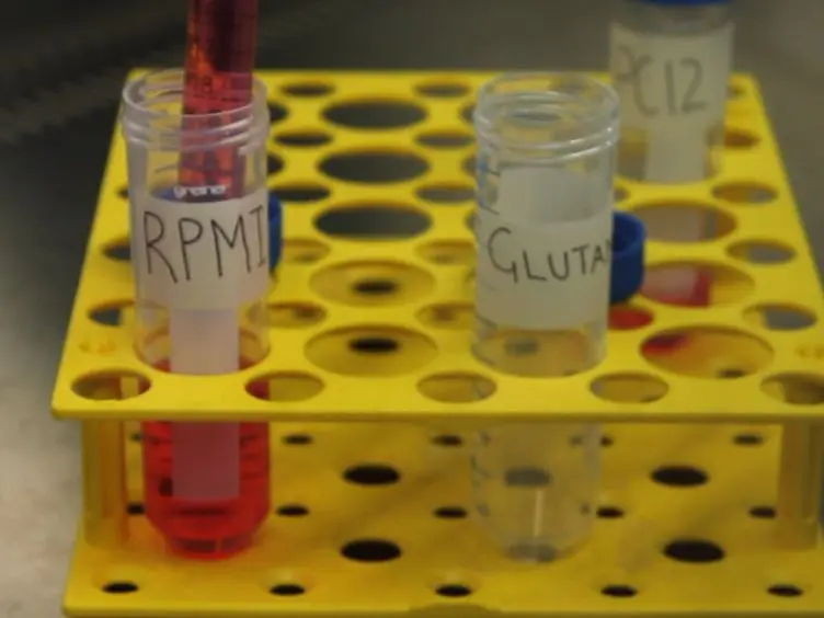 Method for the Assessment of Effects of a Range of Wavelengths and Intensities of Red/near-infrared Light Therapy on Oxidative Stress <em>In Vitro</em>