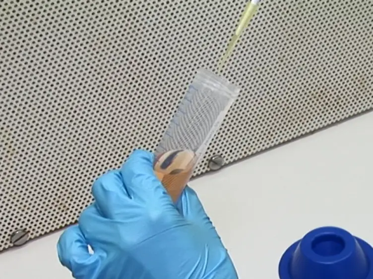 <em>Candida albicans</em> Biofilm Development on Medically-relevant Foreign Bodies in a Mouse Subcutaneous Model Followed by Bioluminescence Imaging