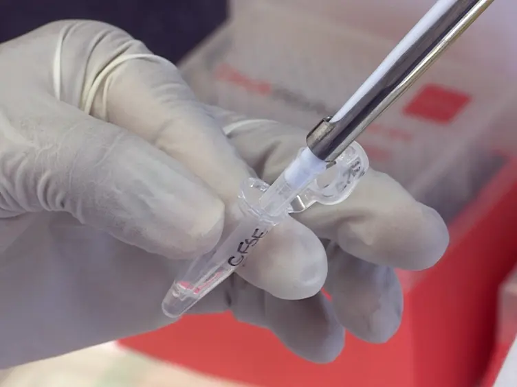 Flow Cytometry Protocols for Surface and Intracellular Antigen Analyses of Neural Cell Types