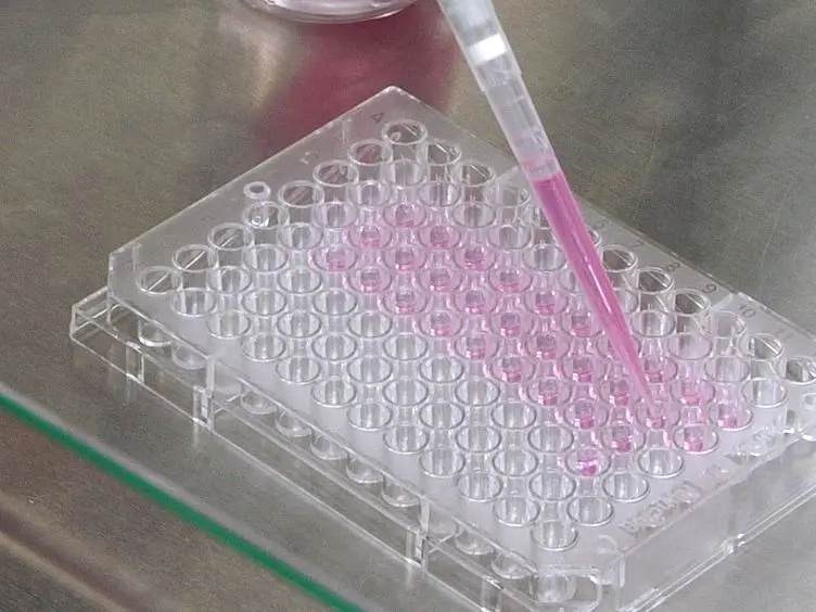 Sample Preparation Strategies for Mass Spectrometry Imaging of 3D Cell Culture Models
