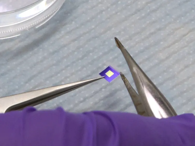 Preparing Adherent Cells for X-ray Fluorescence Imaging by Chemical Fixation