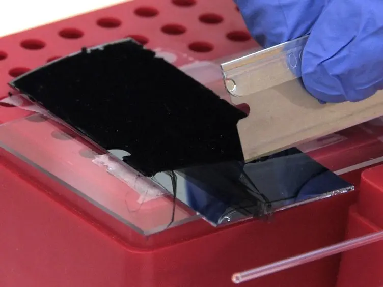 Ambient Method for the Production of an Ionically Gated Carbon Nanotube Common Cathode in Tandem Organic Solar Cells
